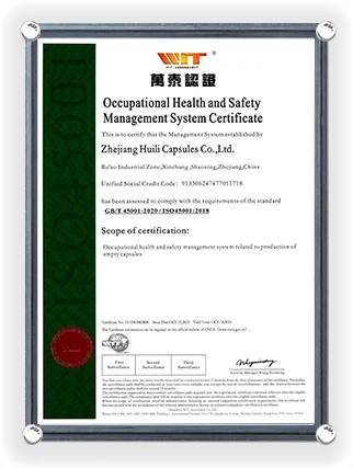 Certificado del Sistema de Gestión de Seguridad y Salud En el Trabajo